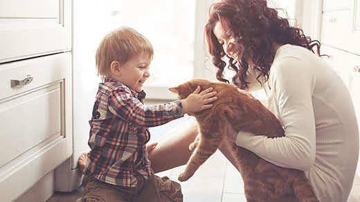Maman présentant un chat roux à son petit garçon