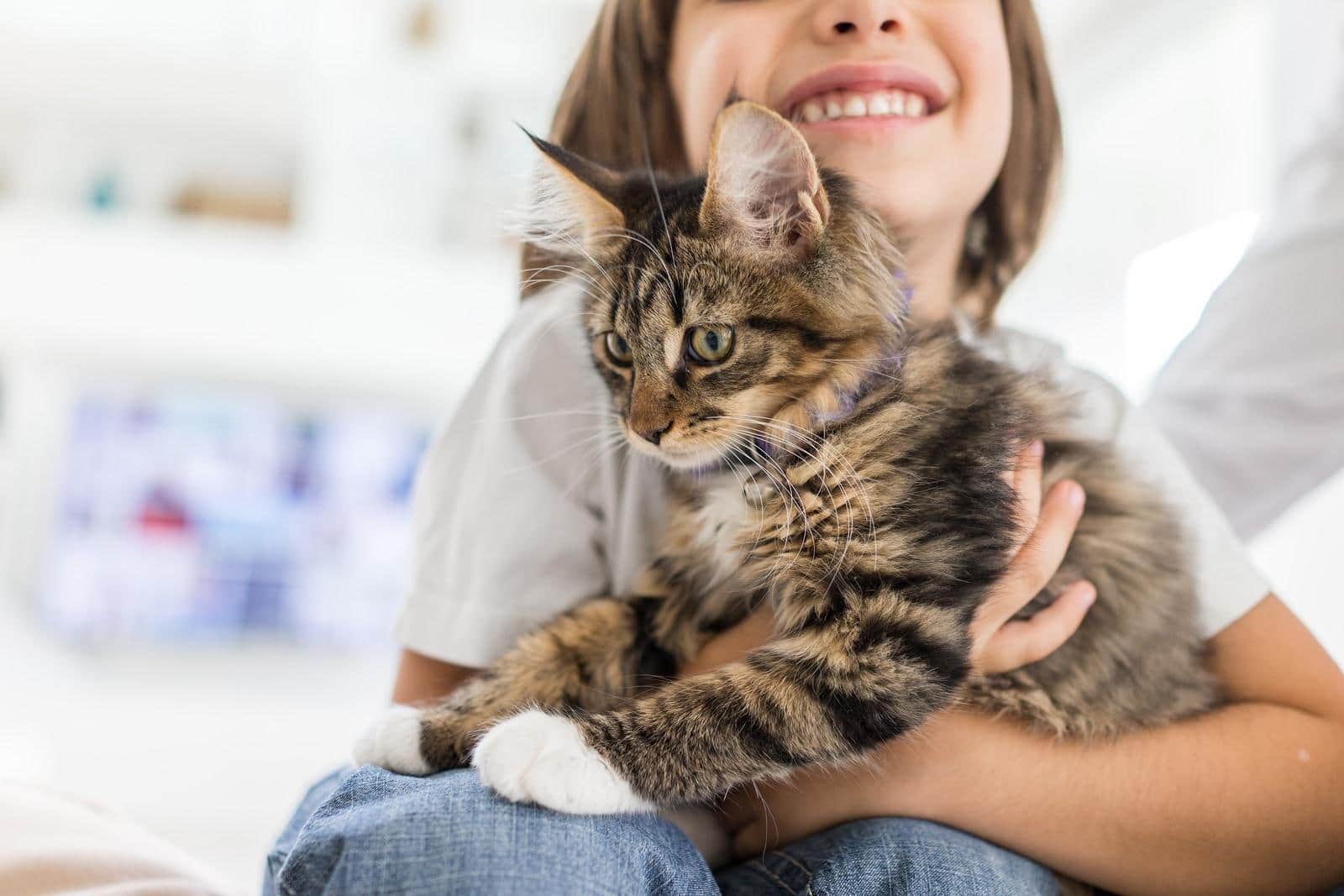 Fille heureuse chez elle jouant avec un chat tigré