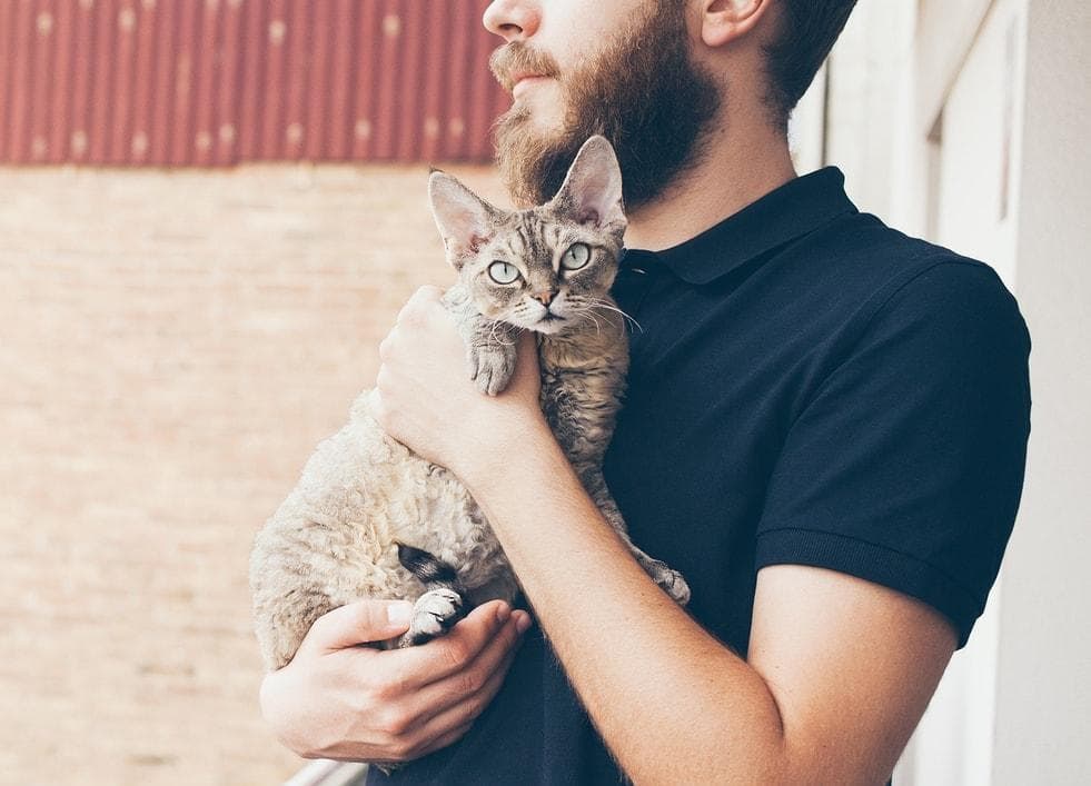Beared man in black polo holding cat