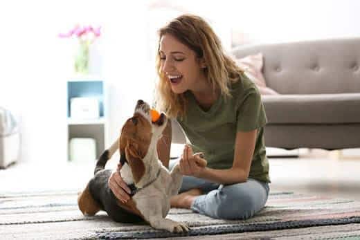 Jeune femme jouant avec son chien chez elle