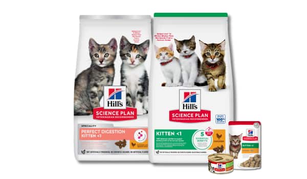Bags of Hill's Science Plan dry and wet kitten food