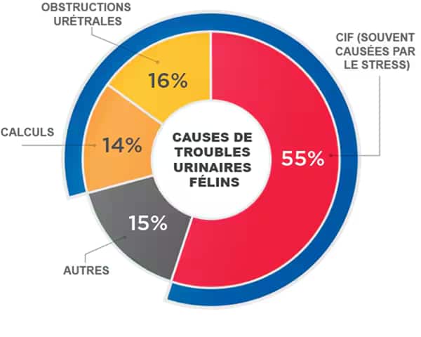 Chart showcasing causes of Feline LUTS