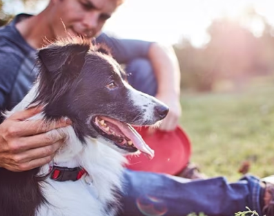 un homme caressant son chien