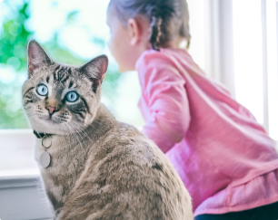 une petite fille assise à côté d'un chat en surpoids