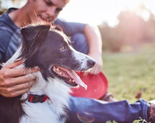 un homme caressant son chien