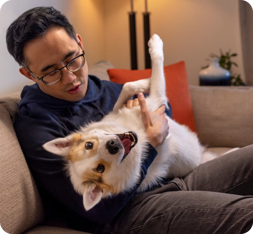 happy dog getting attention on sofa with owner