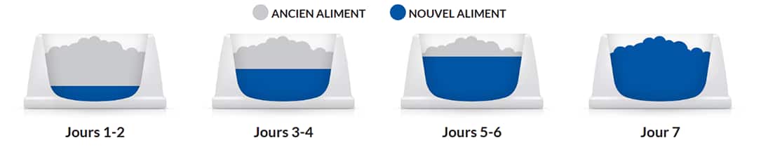 Transition alimentaire